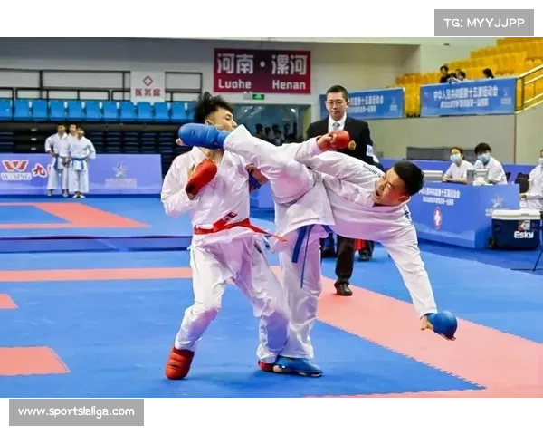 凝聚社会力量推动空手道推广促进项目普及与可持续发展